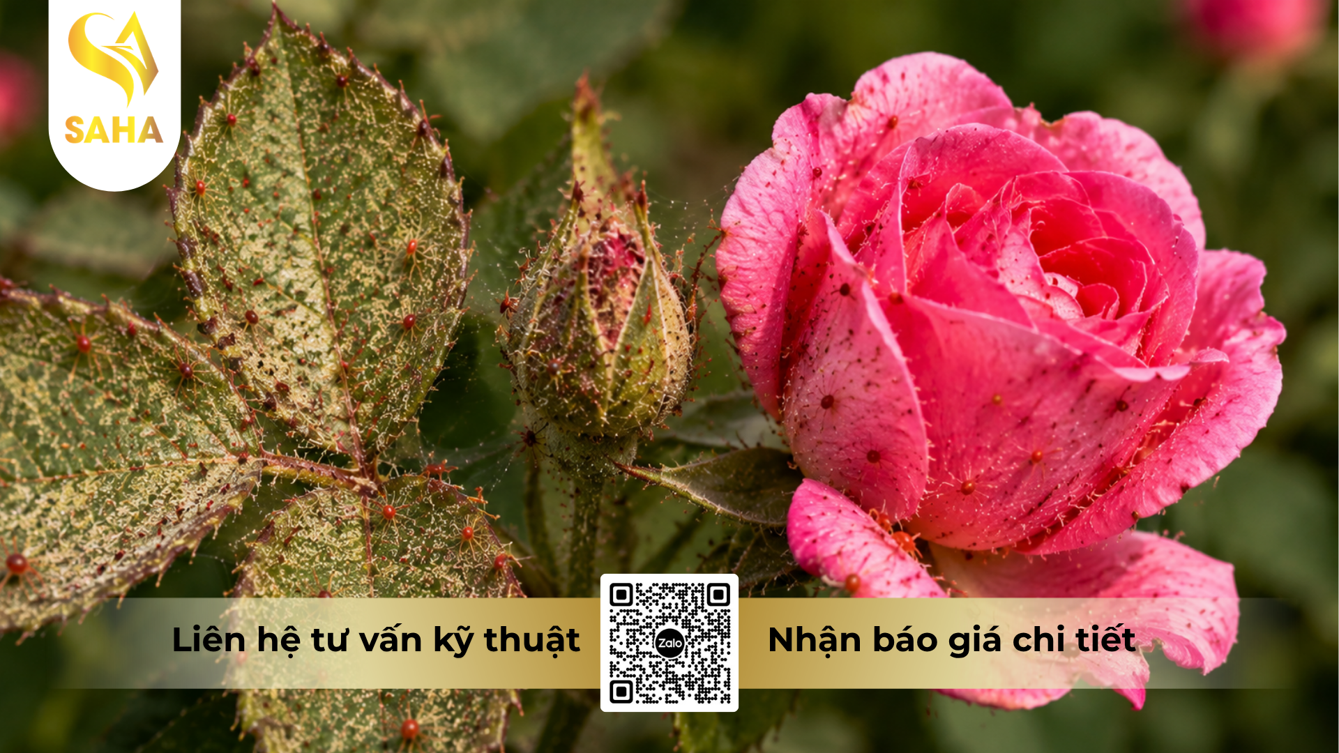 cau-hoi-thuong-gap-ve-thuoc-tru-sau-hacomai-57ec-hieu-batnhen-570.png