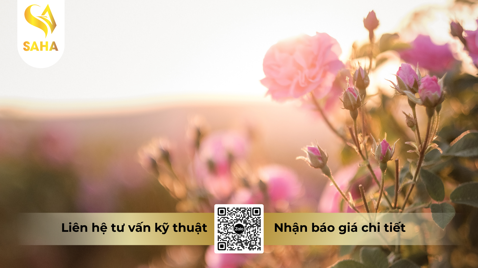 cau-hoi-thuong-gap-ve-thuoc-tru-sau-hadifen-50wp-hieu-xspider-500.png
