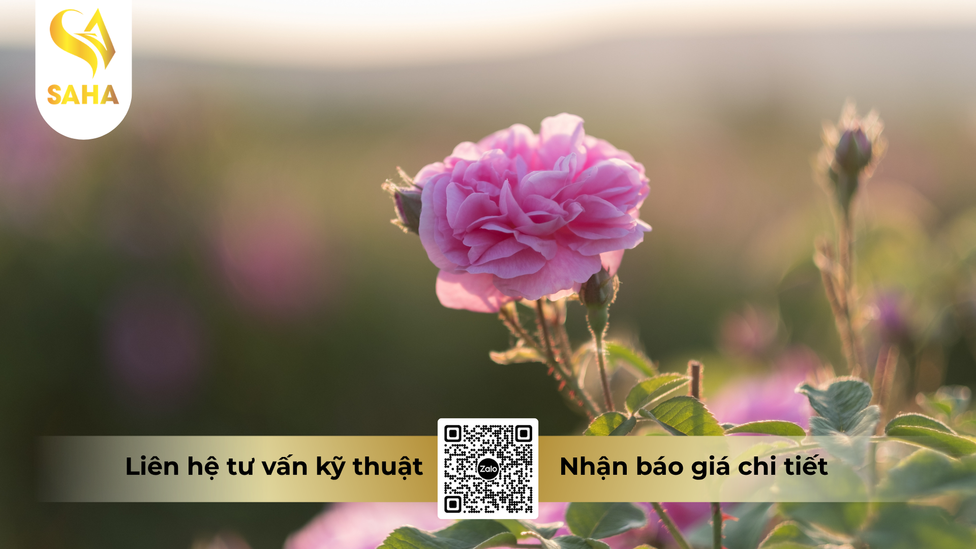cau-hoi-thuong-gap-ve-thuoc-tru-sau-hadifen-50wp-tomspider-500.png