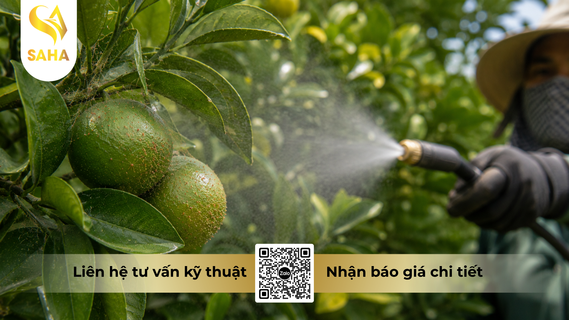 huong-dan-su-dung-thuoc-tru-sau-nhen-lion-messifen-240sc.png