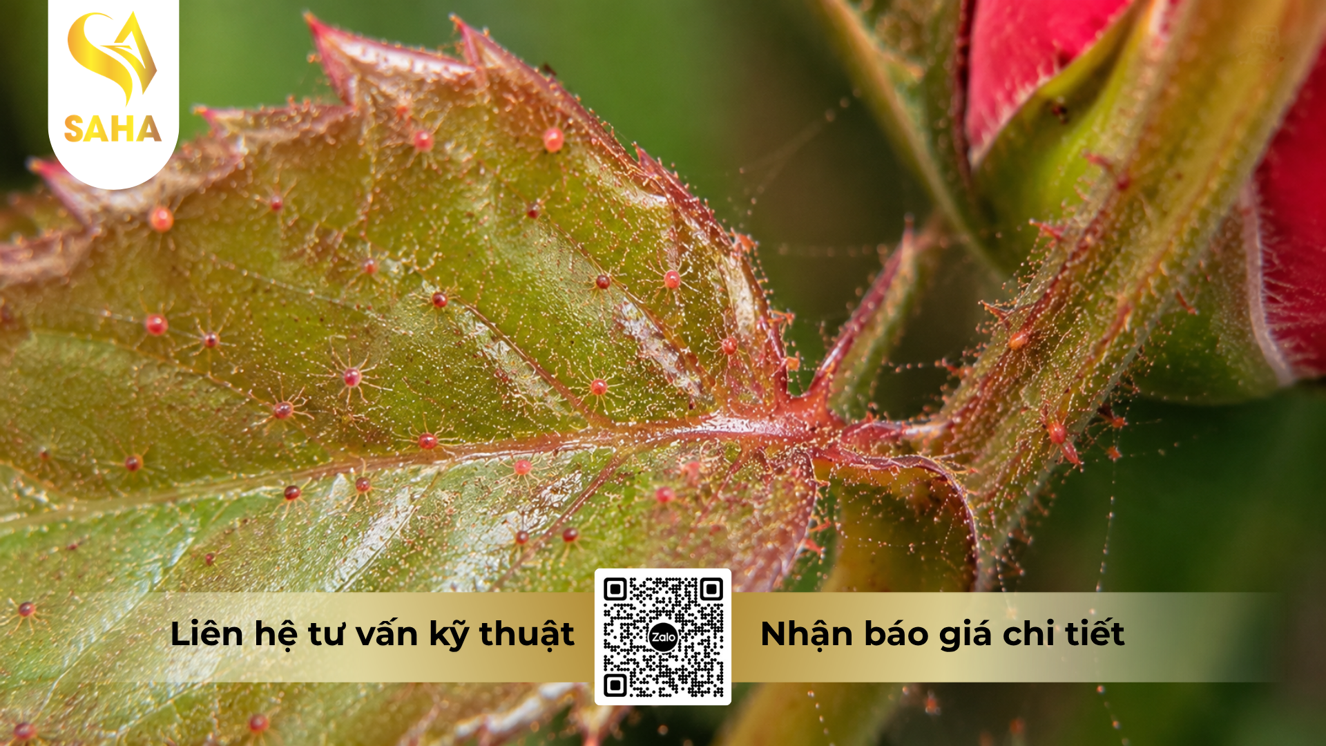 cau-hoi-thuong-gap-ve-thuoc-tru-sau-nasata-5sc-bo-3-tri-nhen-do.png