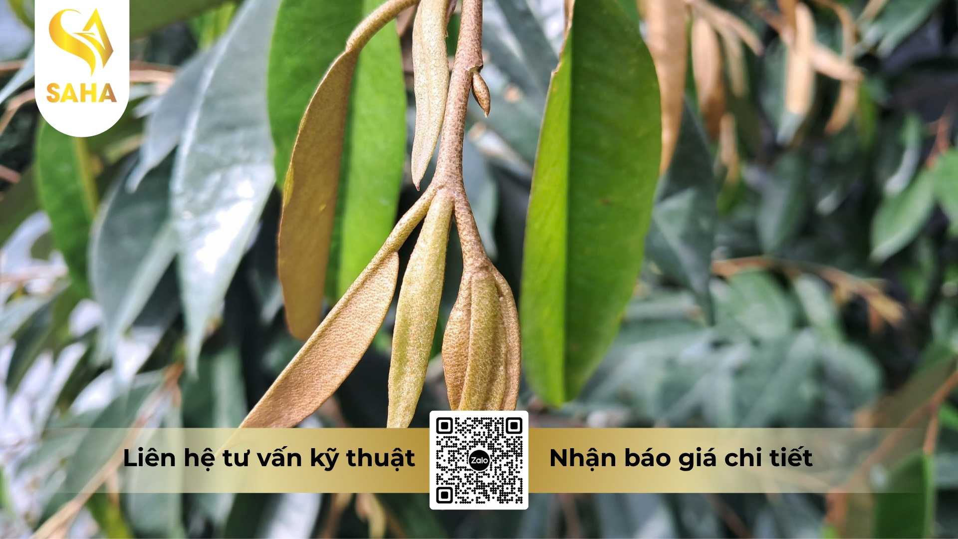 cong-dung-phan-bon-la-trung-luong-bittermag-mh-hieu-zdmagie-kem-kem-bo-te.jpg