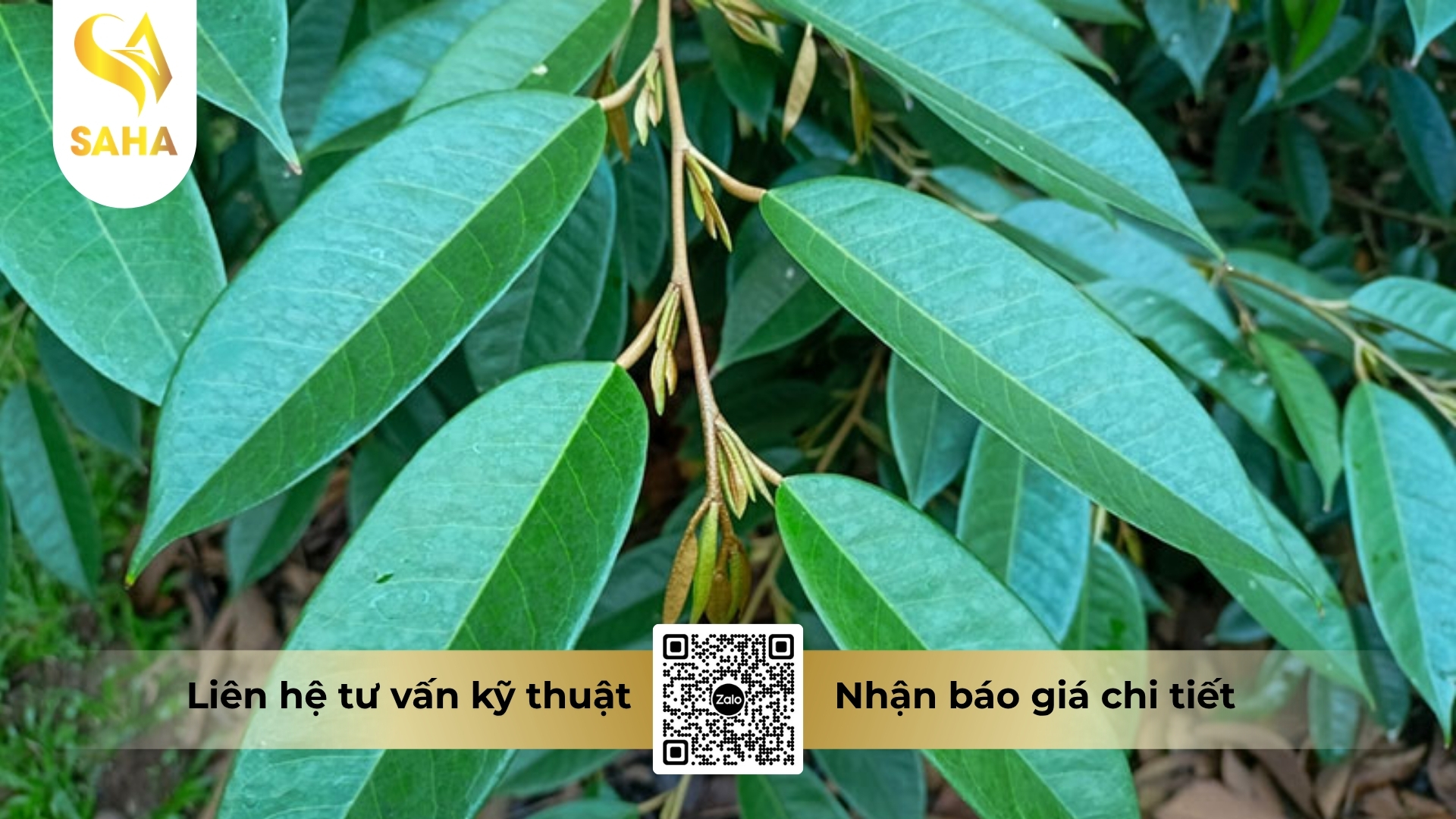cau-hoi-thuong-gap.jpg