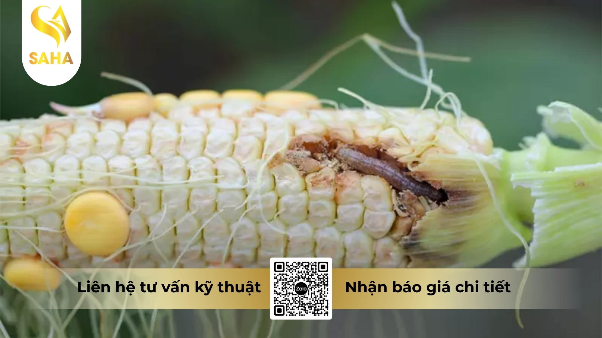 cong-dung-thuoc-tru-sau-ad-lutein-3gr-hieu-fagensuper-3-0.jpg