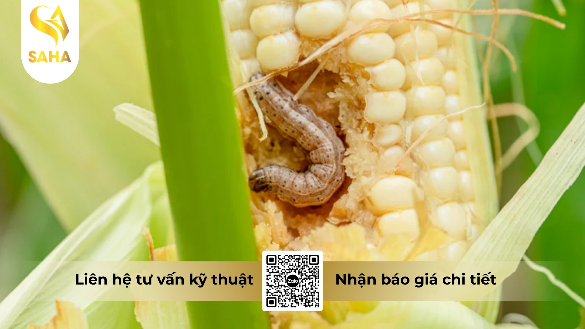 cong-dung-thuoc-tru-sau-ad-lutein-3gr-hieu-fagensuper-3-0.jpg