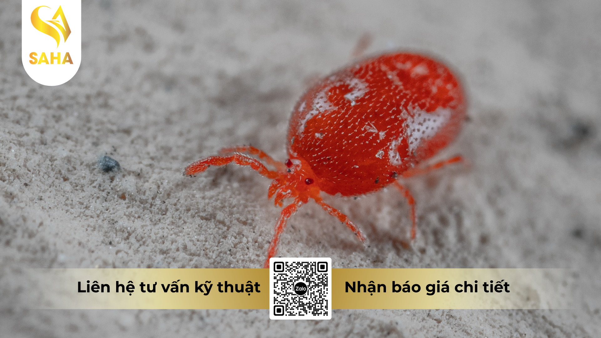 cau-hoi-thuong-gap-ve-thuoc-tru-sau-nasata-5sc-hieu-never-mite-500.png