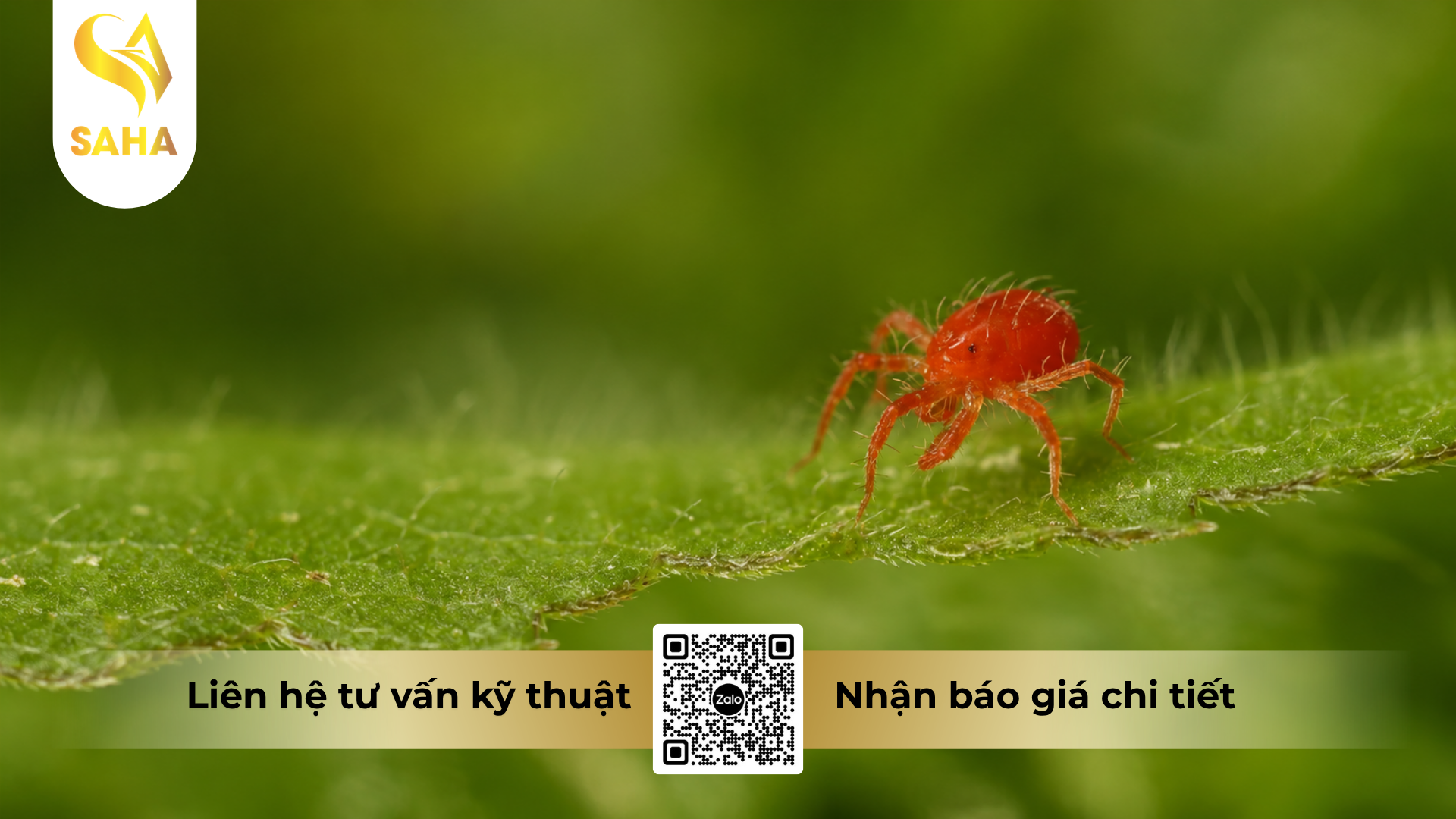 cong-dung-cua-thuoc-tru-sau-nasata-5sc-hieu-outmite-500.png