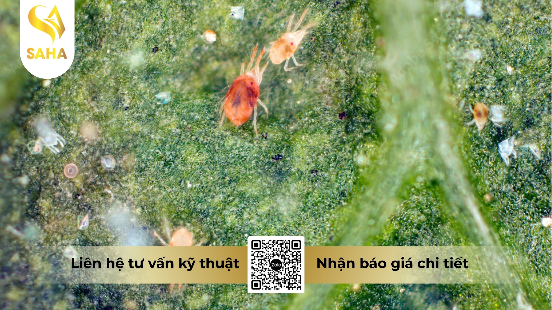 cong-dung-thuoc-tru-benh-fujiboss-30sc-hieu-sanbopy-30.jpg