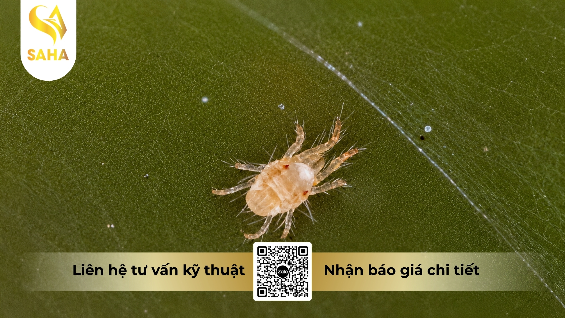 cau-hoi-thuong-gap.jpg