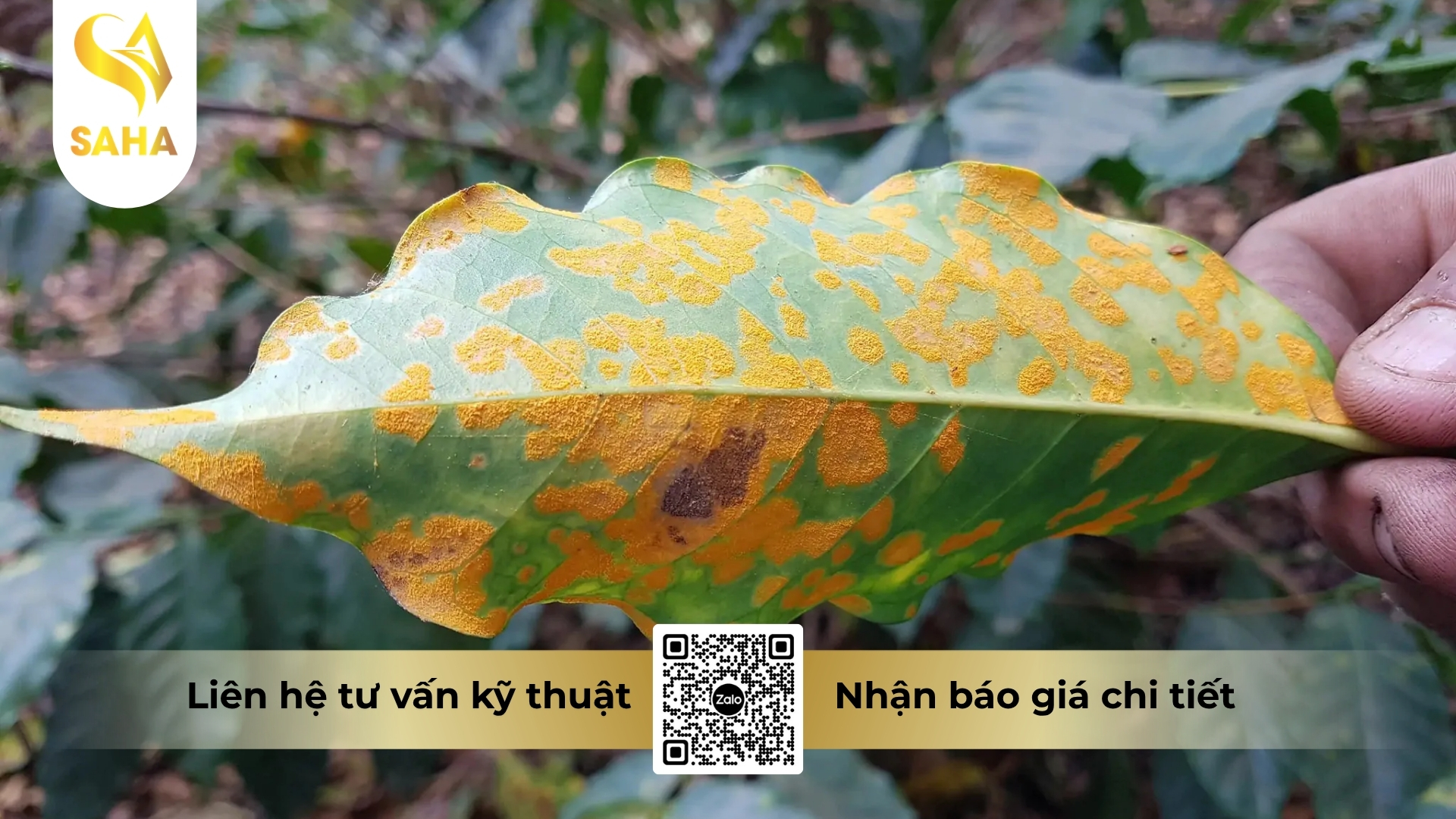 cong-dung-thuoc-tru-benh-sanbang-30sc-hieu-santetrix-300.jpg