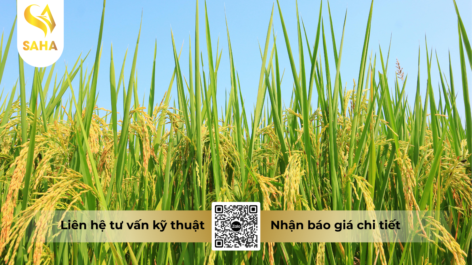 cau-hoi-thuong-gap-ve-thuoc-tru-sau-ongtrum-200ec-hieu-trumnhen-t.png