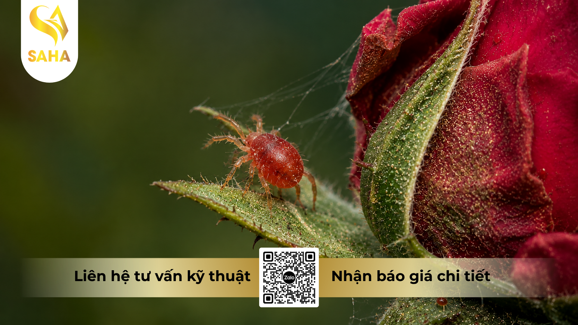 cong-dung-cua-thuoc-tru-sau-palman-240sc-hieu-nitigo-240.png
