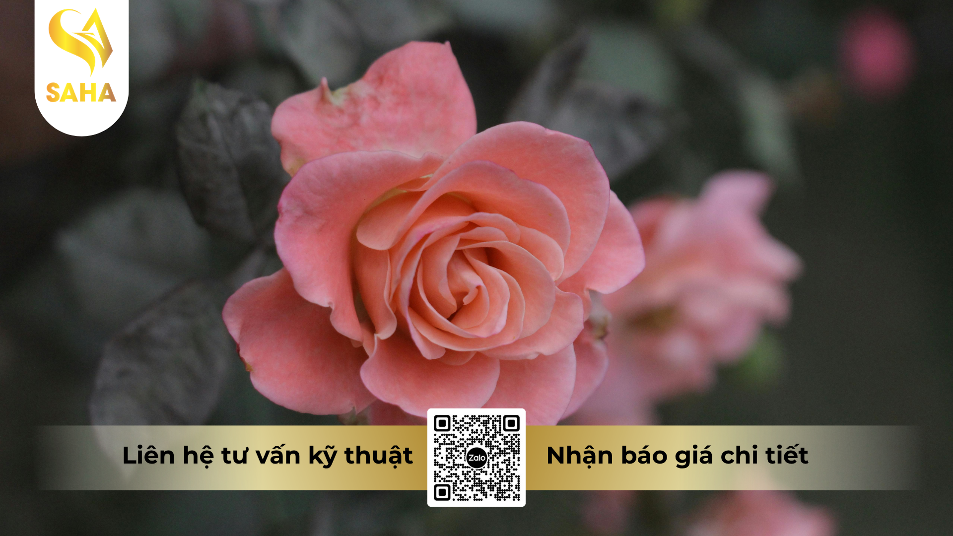 cau-hoi-thuong-gap-ve-thuoc-tru-sau-palman-240sc-hieu-nitigo-240.png