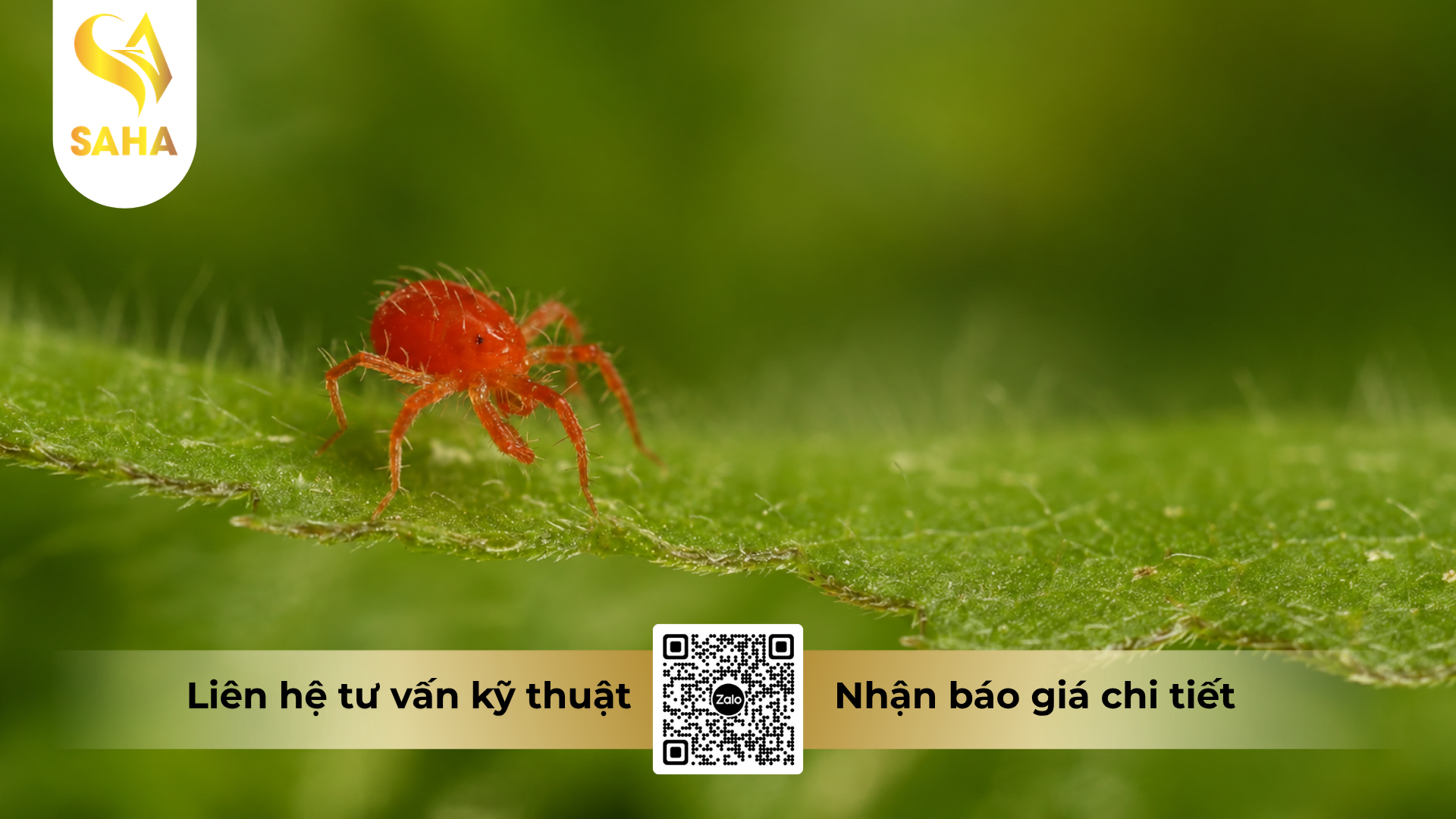 cong-dung-cua-thuoc-tru-sau-rosser-450sc-hieu-sannhen-450.png