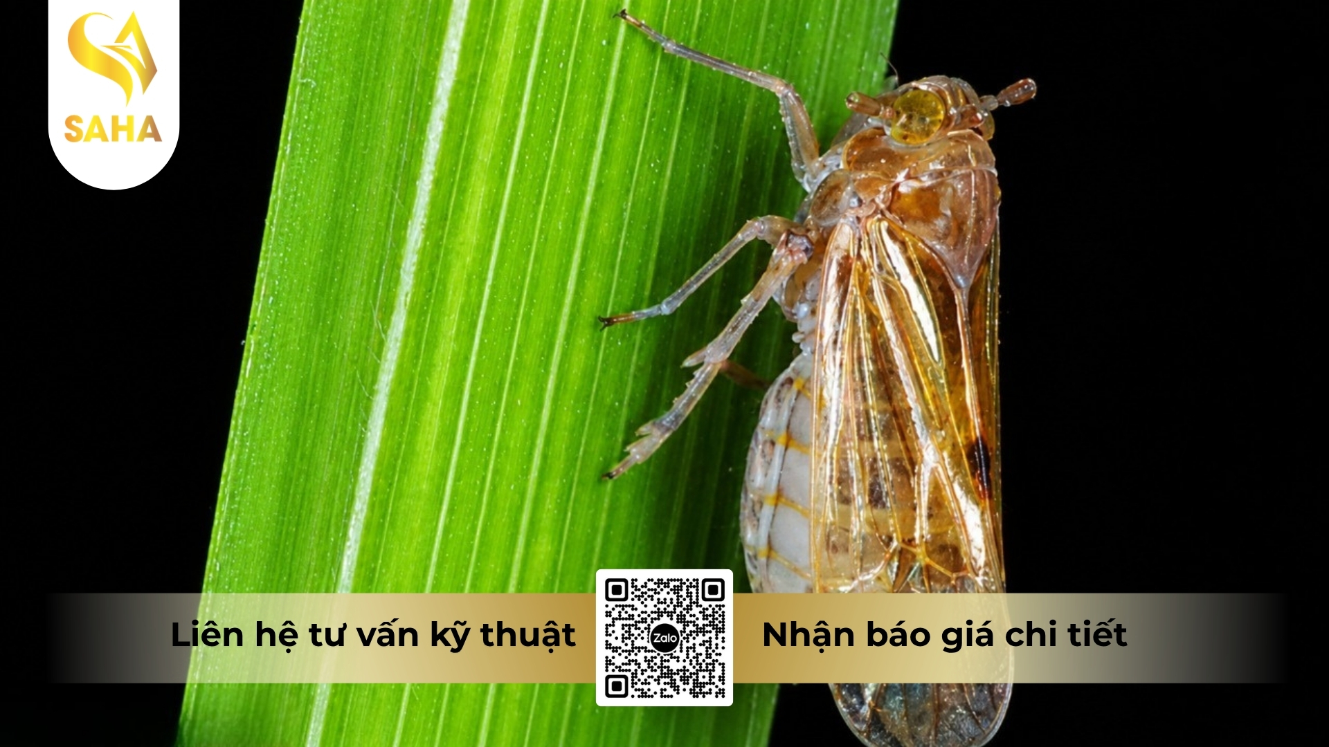 cau-hoi-thuong-gap.jpg