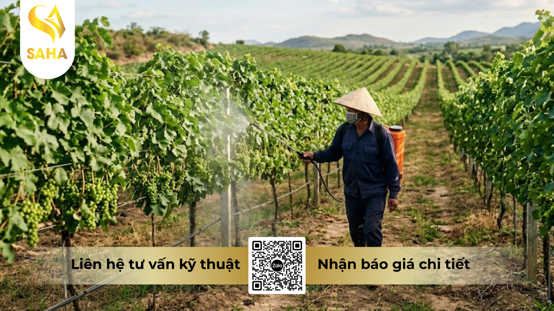 huong-dan-su-dung-thuoc-tru-sau-sam-spider-500wp-hieu-tomspider-500.png