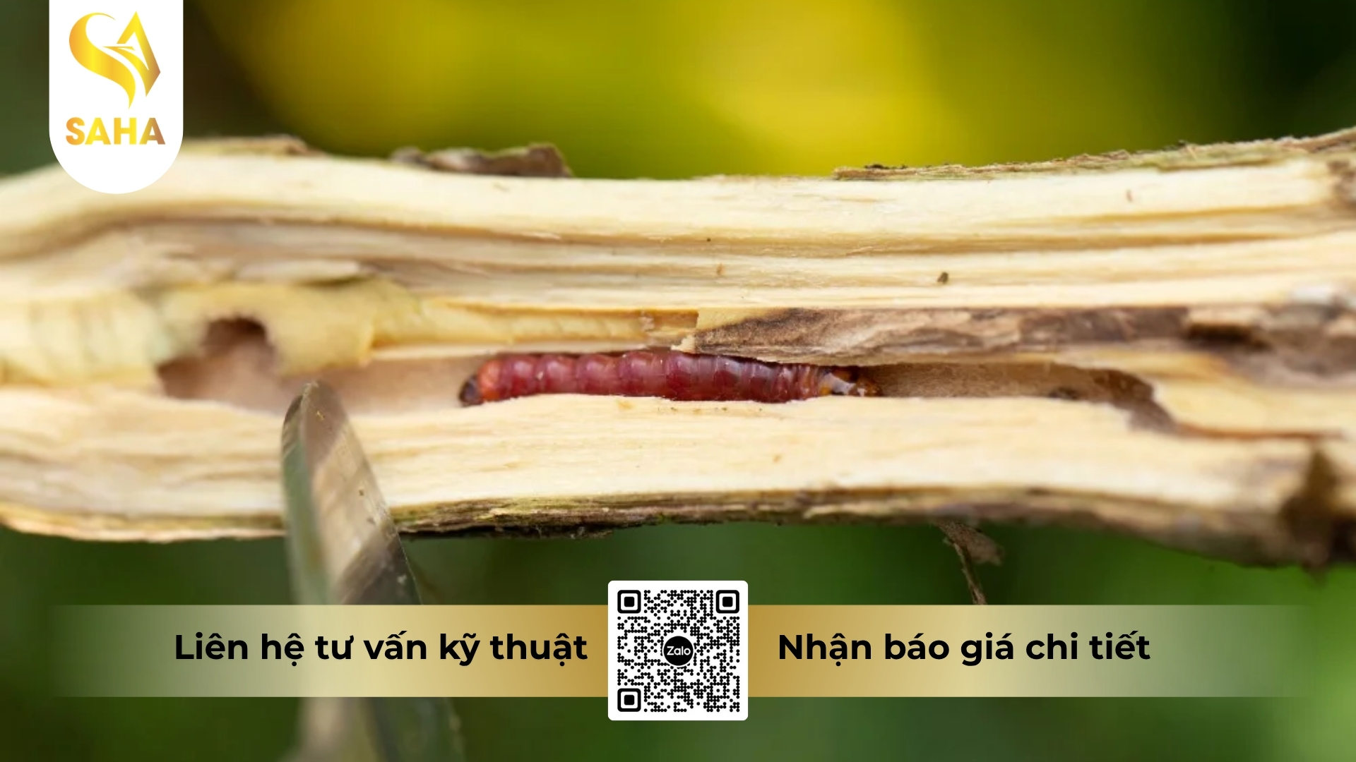 thong-tin-chung-thuoc-tru-sau-vote-34-2sc.jpg