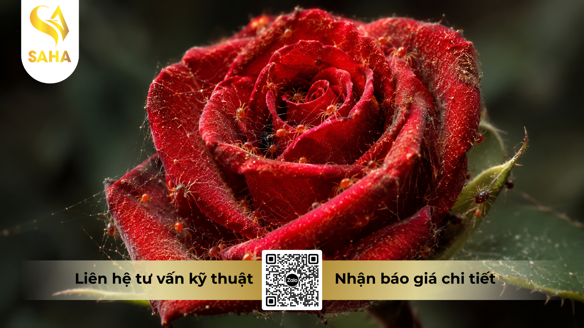 cong-dung-cua-thuoc-tru-sau-z-mai-50sc-hieu-diamex-pro-500.png