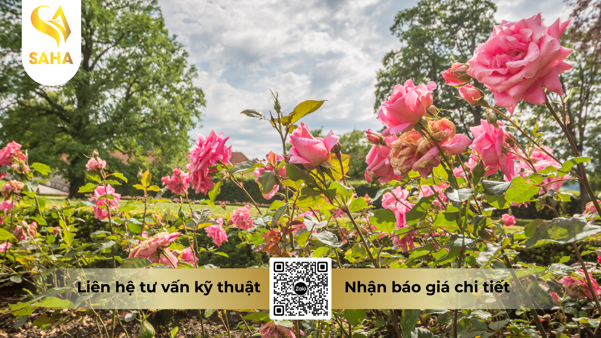 cau-hoi-thuong-gap-ve-thuoc-tru-sau-z-mai-50sc-hieu-diamex-pro-500.png