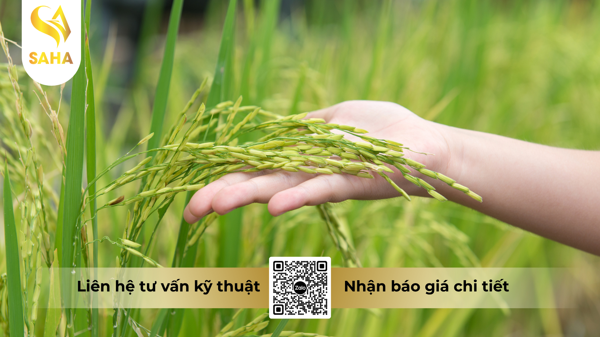 cau-hoi-thuong-gap-ve-thuoc-tru-sau-acnal-400wp-hieu-than-long-xong-pha.png