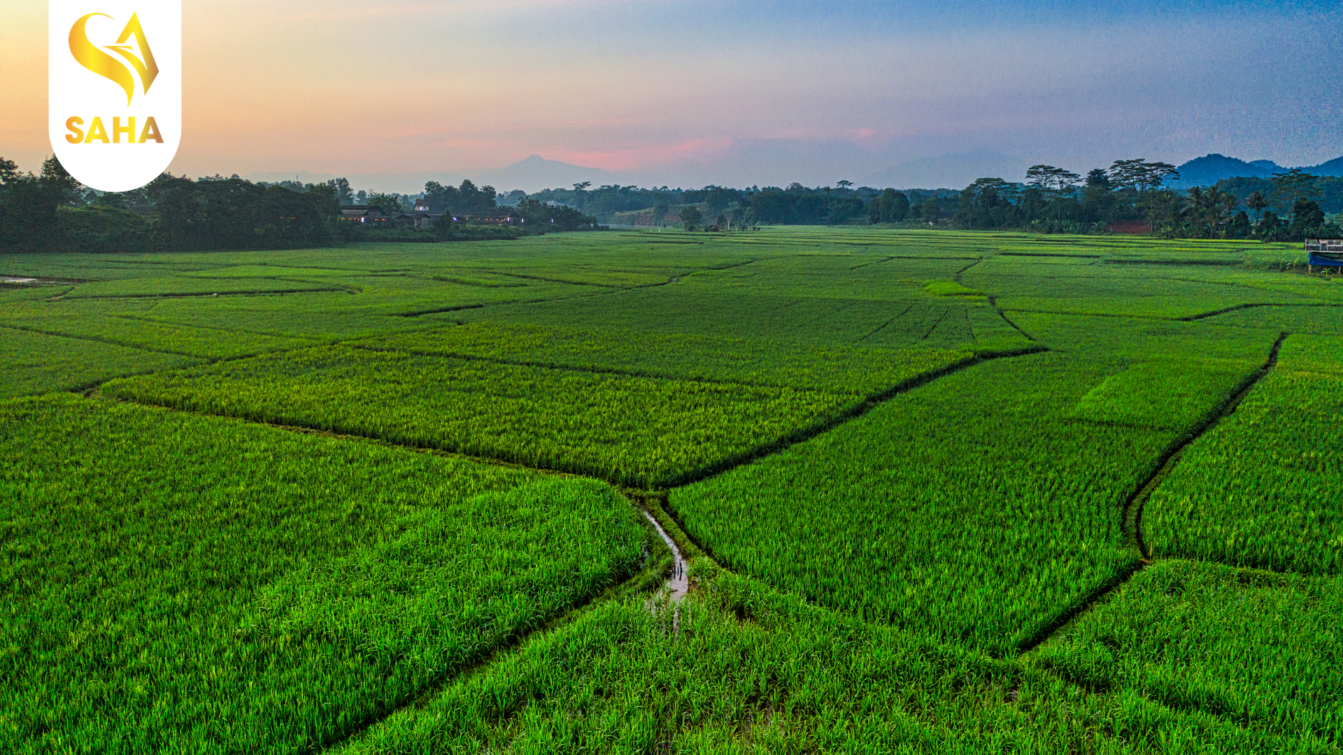 cau-hoi-thuong-gap-ve-thuoc-tru-ray-cao-cap-anvado-100wp.png