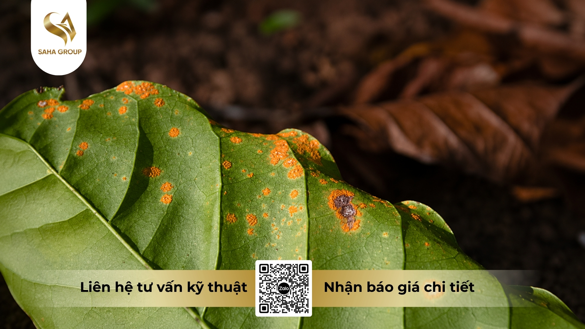 gia-cong-thuoc-bvtv-la-gi-vi-sao-ngay-cang-nhieu-doanh-nghiep-lua-chon.jpg
