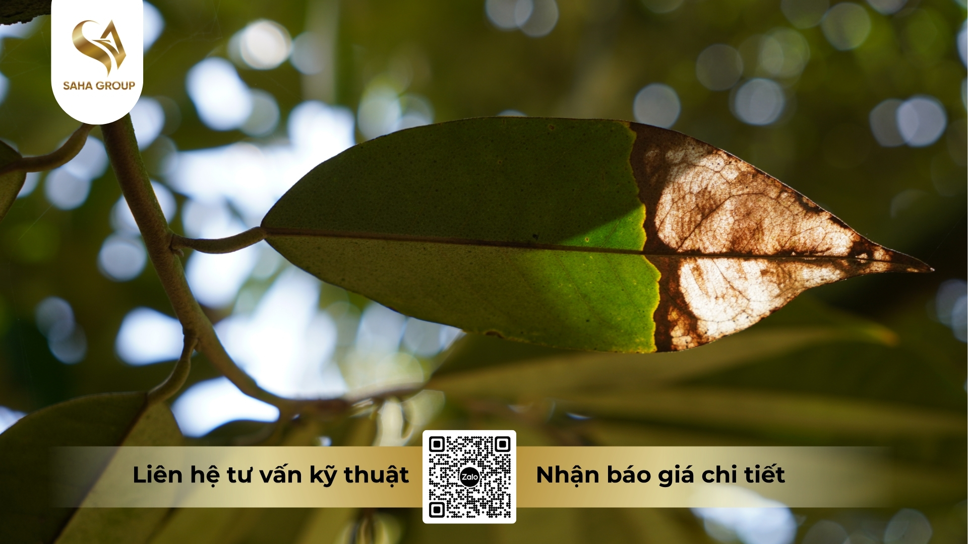 faq-cau-hoi-thuong-gap.jpg