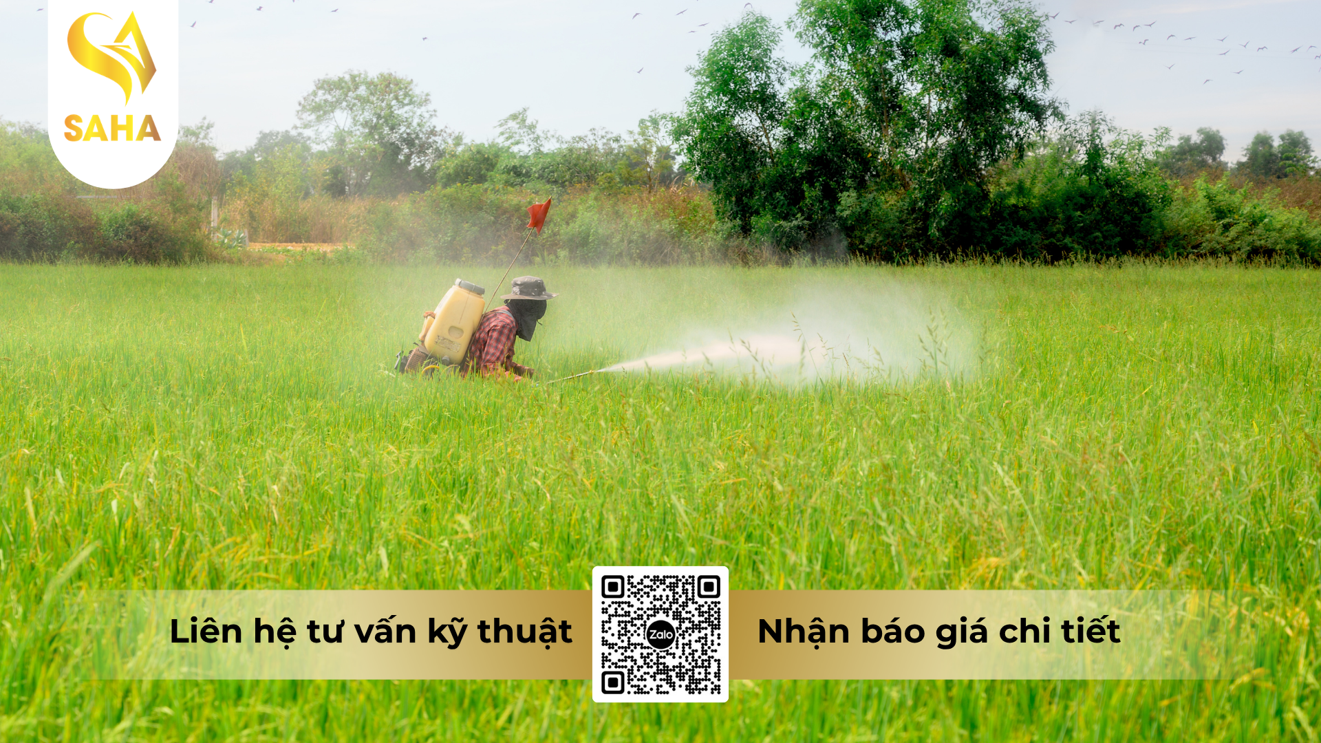 huong-dan-su-dung-thuoc-tru-ray-cao-cap-ba-dang-500wp.png