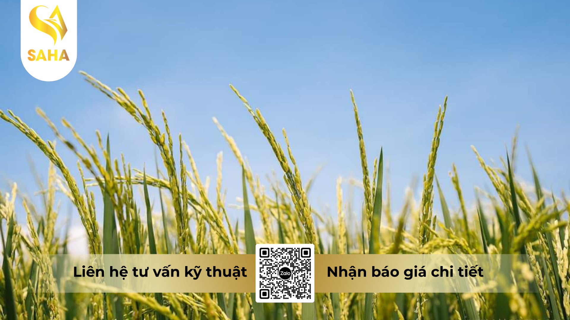 cau-hoi-thuong-gap-ve-thuoc-tru-ray-cao-cap-ba-dang-500wp.png