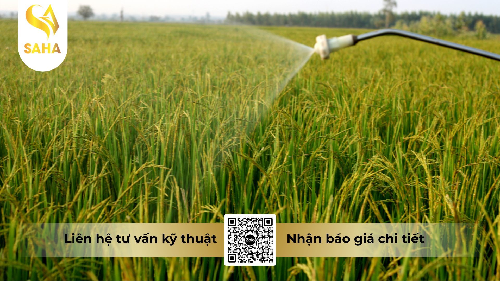 huong-dan-su-dung-thuoc-tru-ray-cao-cap-babsax-300wp.png