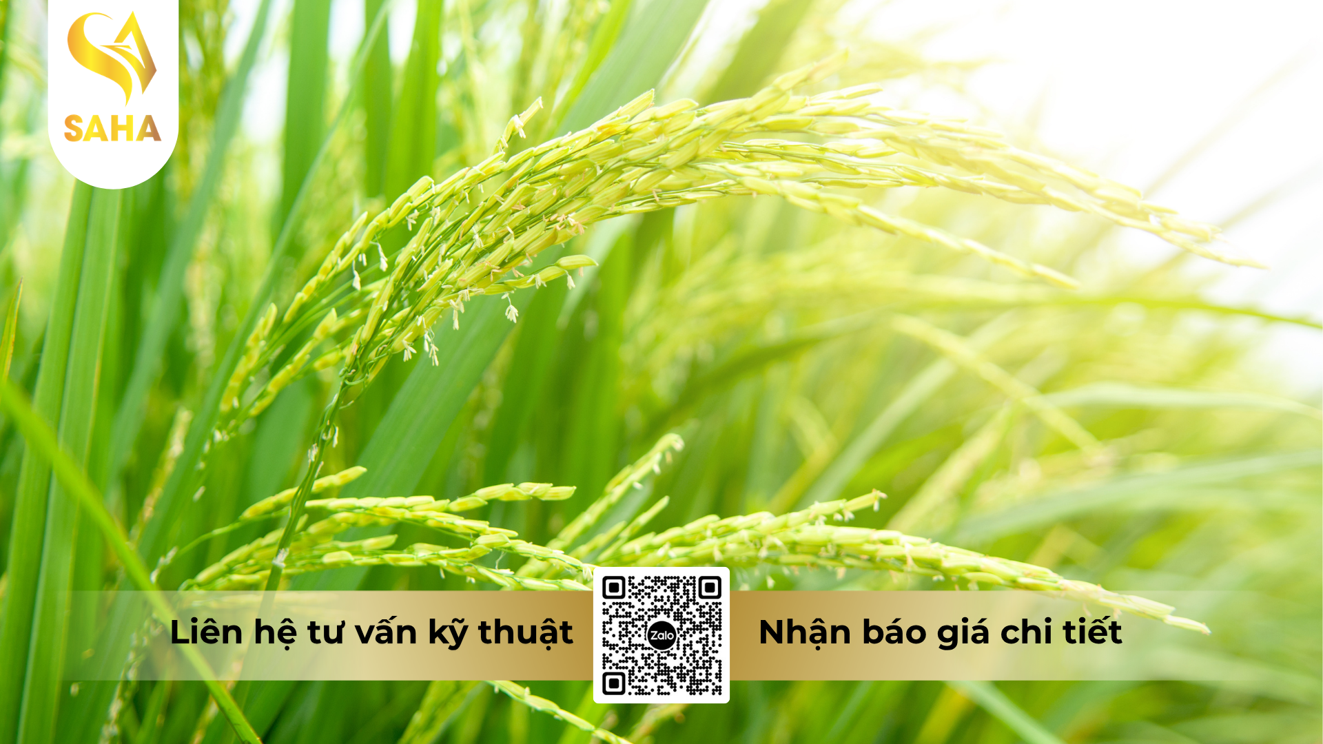 cau-hoi-thuong-gap-ve-thuoc-tru-ray-cao-cap-babsax-300wp.png