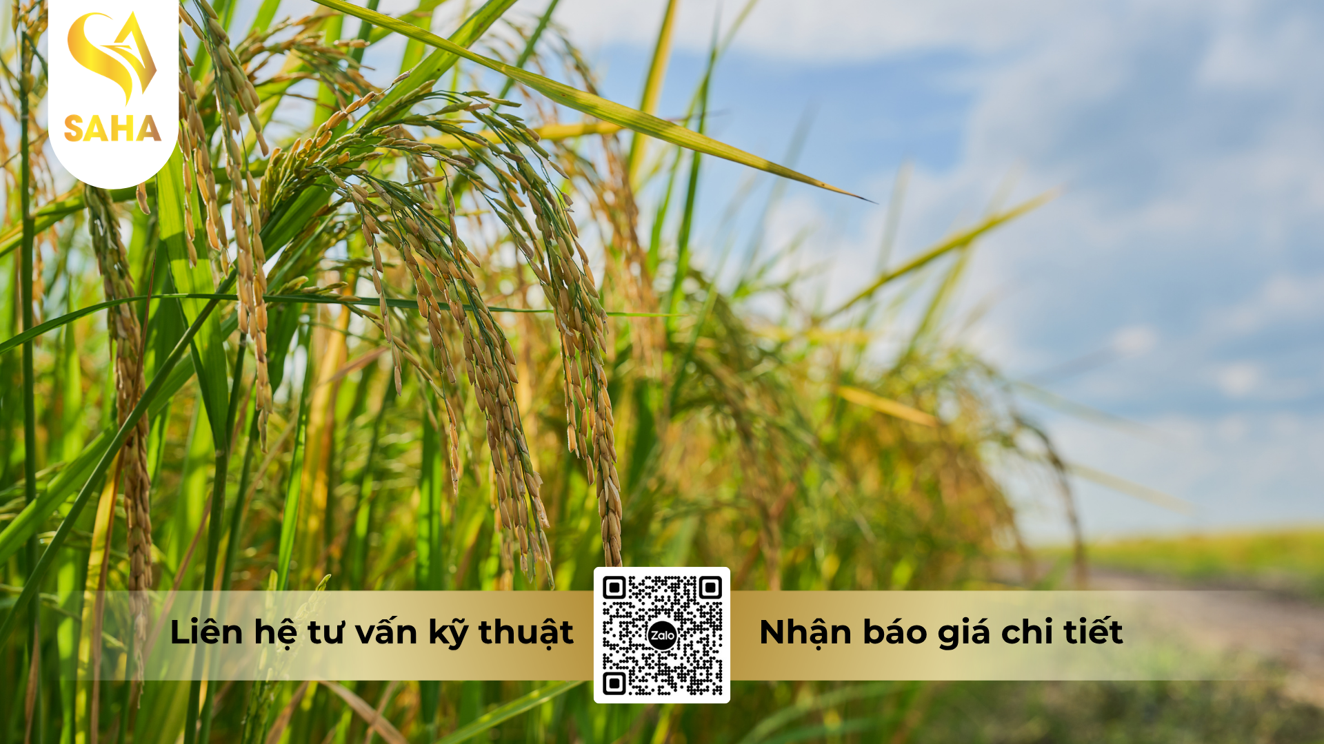 cau-hoi-thuong-gap-ve-thuoc-tru-sau-caymangold-33wp-hieu-no-ray-330.png