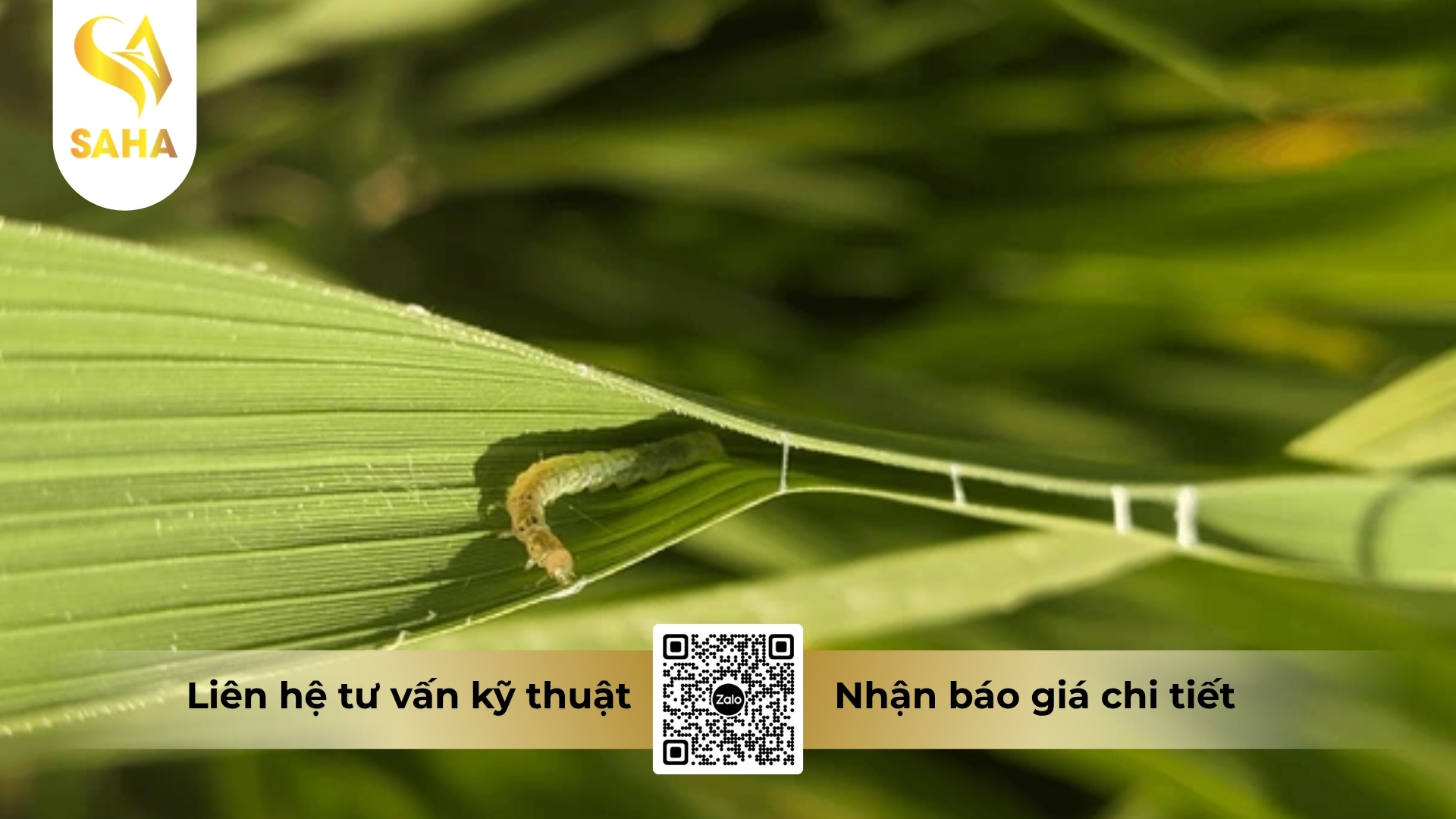 cong-dung-thuoc-tru-sau-abagent-500wp.jpg