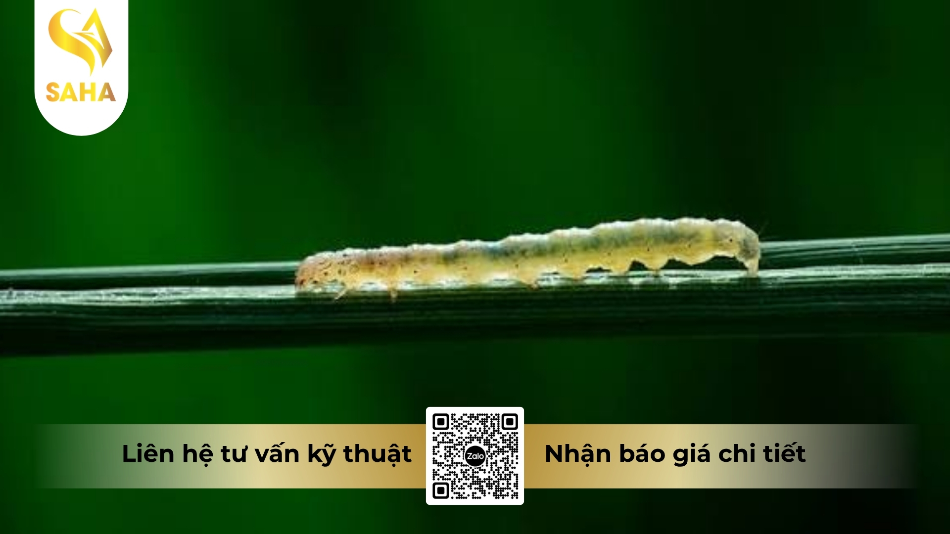 thong-tin-chung-thuoc-tru-sau-abinsec-1-8ec.jpg