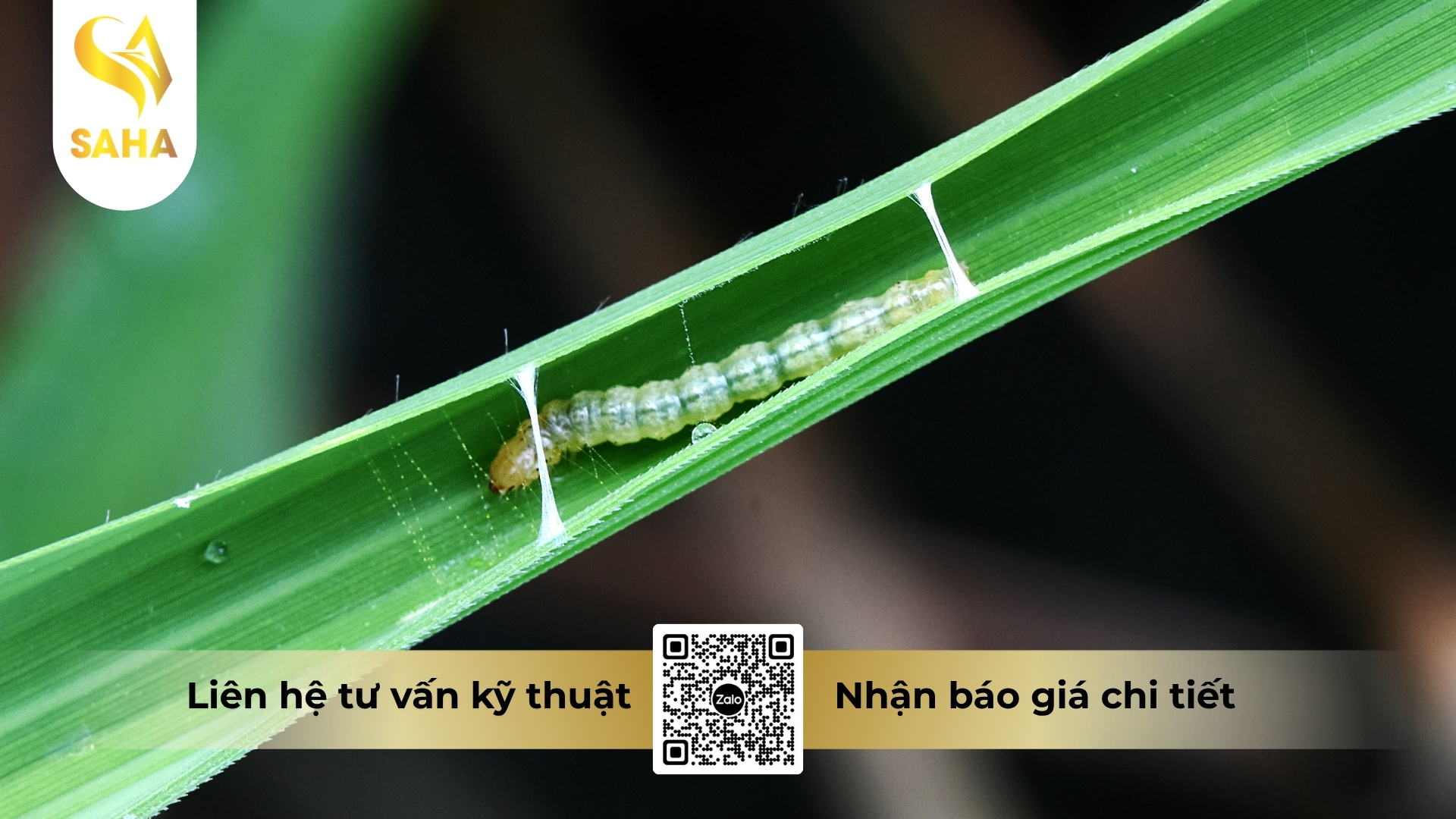 cong-dung-thuoc-tru-sau-abinsec-1-8ec.jpg