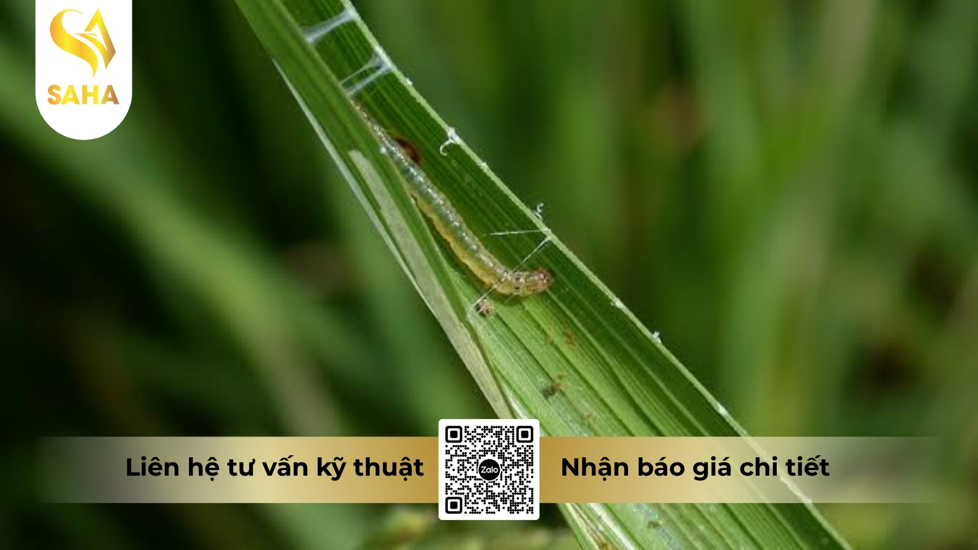 cau-hoi-thuong-gap.jpg