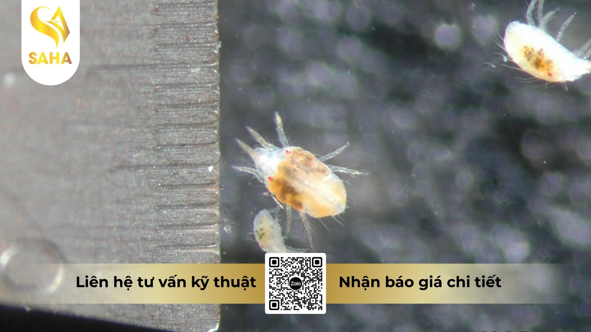 cong-dung-thuoc-tru-sau-abt-2wp.jpg