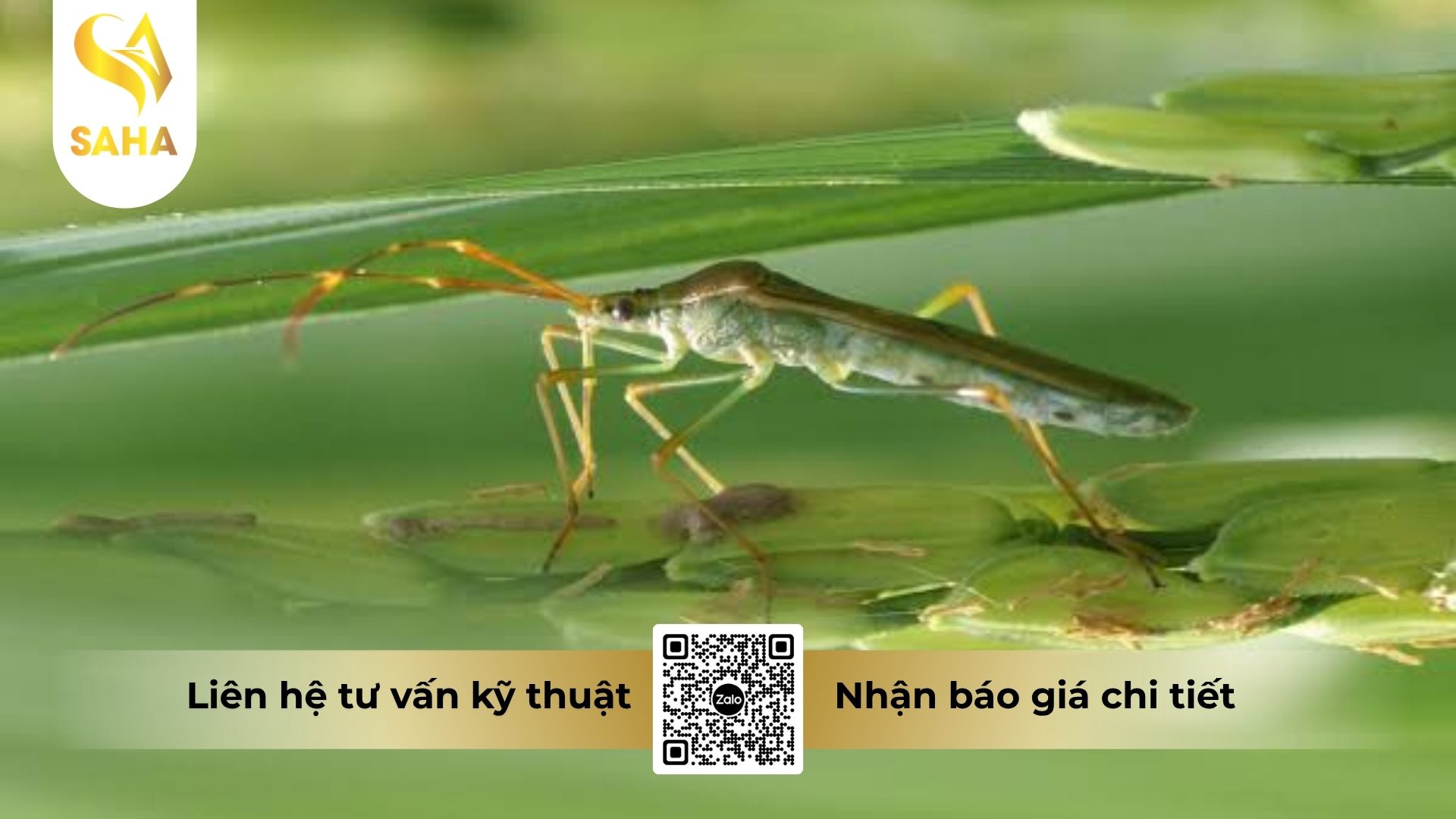 thong-tin-chung-thuoc-tru-sau-acnal-400wp.jpg