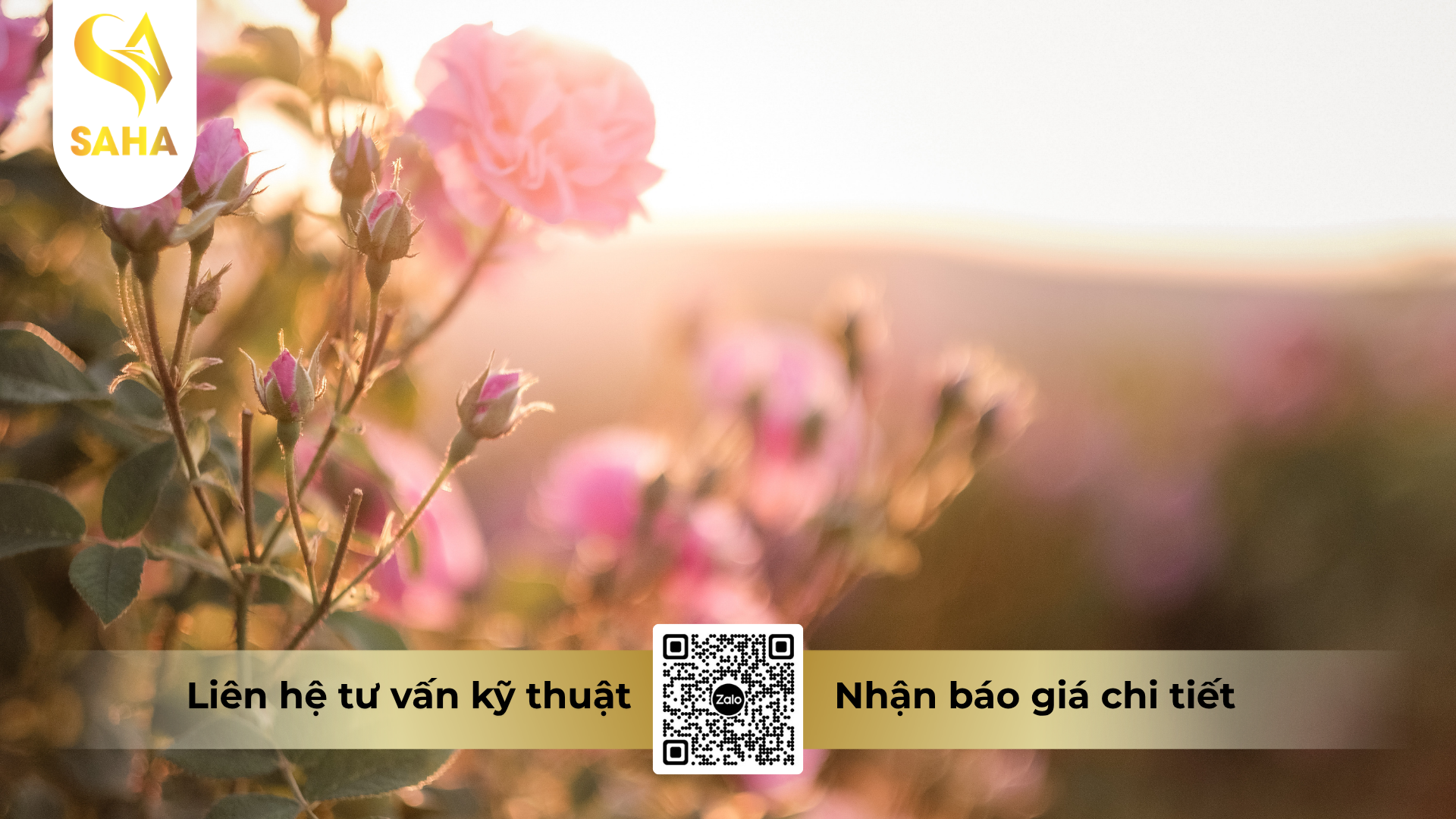 cau-hoi-thuong-gap-ve-thuoc-tru-sau-hadifen-50wp-hieu-tomspider-500.png
