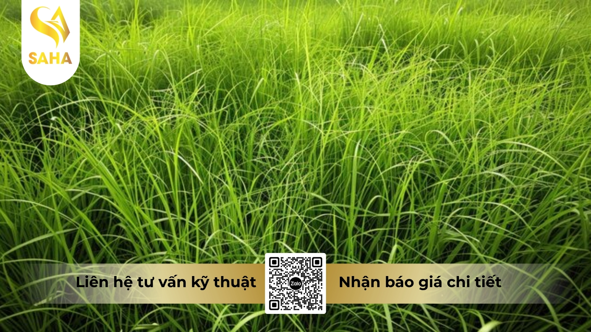 cong-dung-thuoc-tru-co-acocet-53wp.jpg