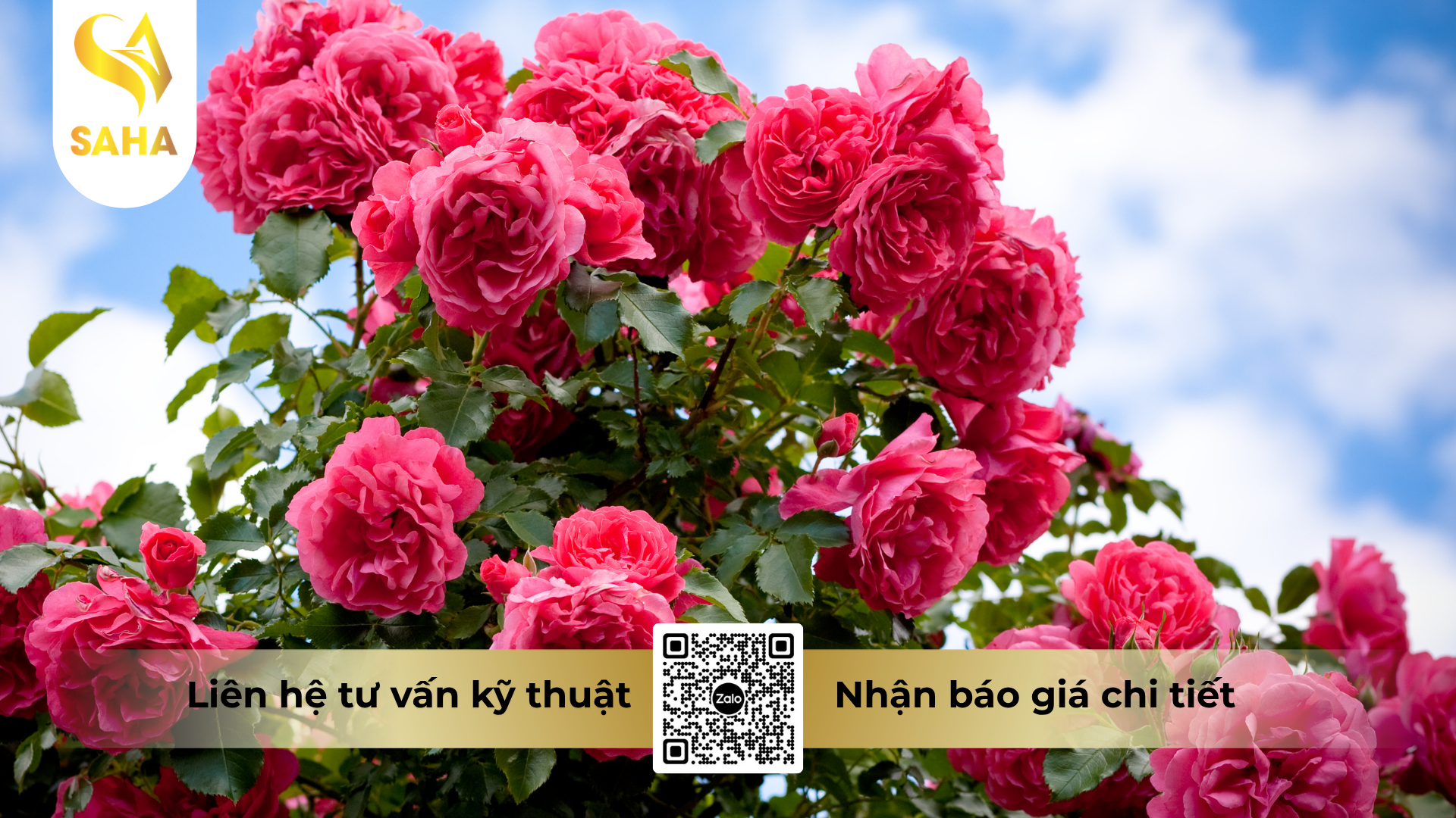 cau-hoi-thuong-gap-ve-thuoc-tru-sau-hadifen-50wp-hieu-xspider-500-100gr.png