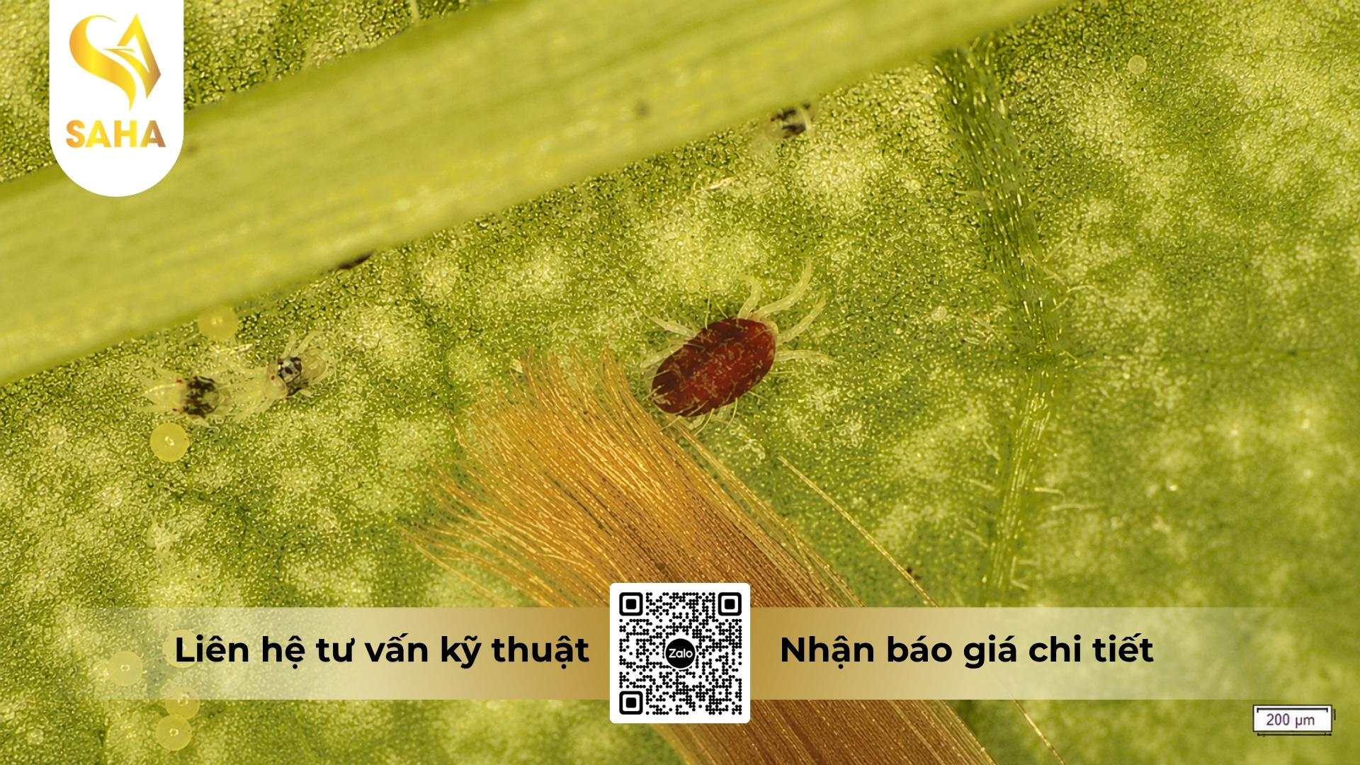 cong-dung-thuoc-tru-sau-acotrin-440ec.jpg