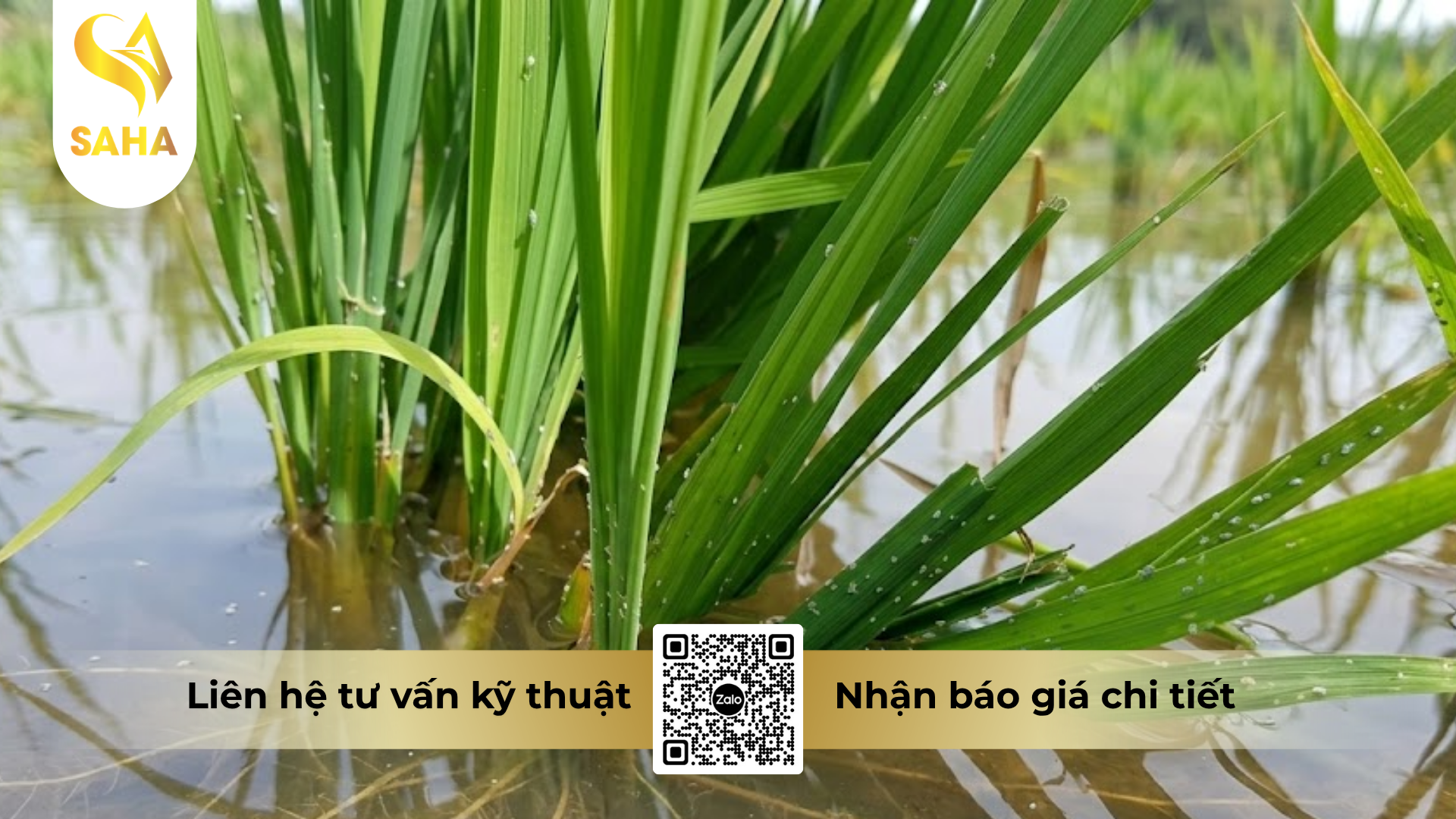 cong-dung-cua-thuoc-tru-sau-ikuzu-20wp-hieu-sanray-t.png