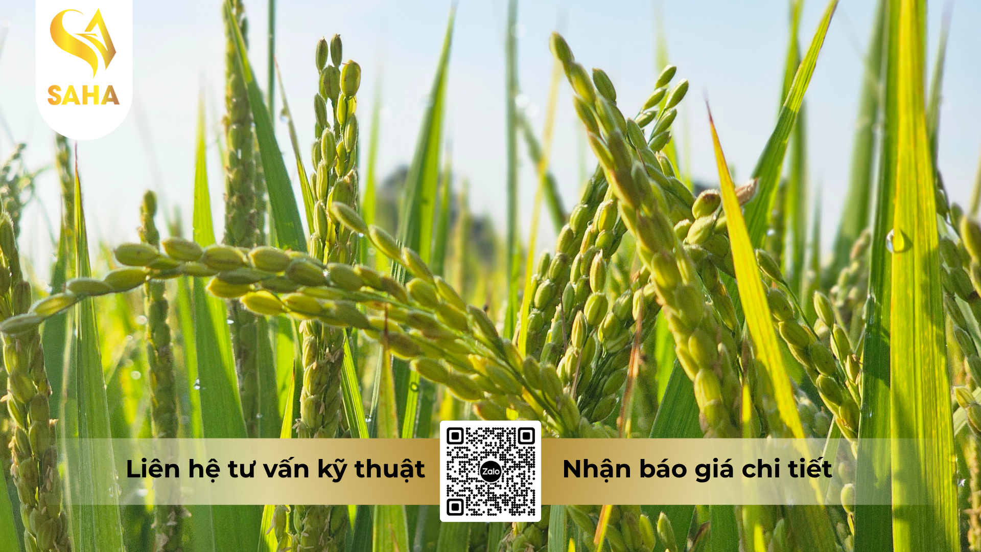 cau-hoi-thuong-gap-ve-thuoc-tru-sau-inmanda-100wp-hieu-nimida-100.png