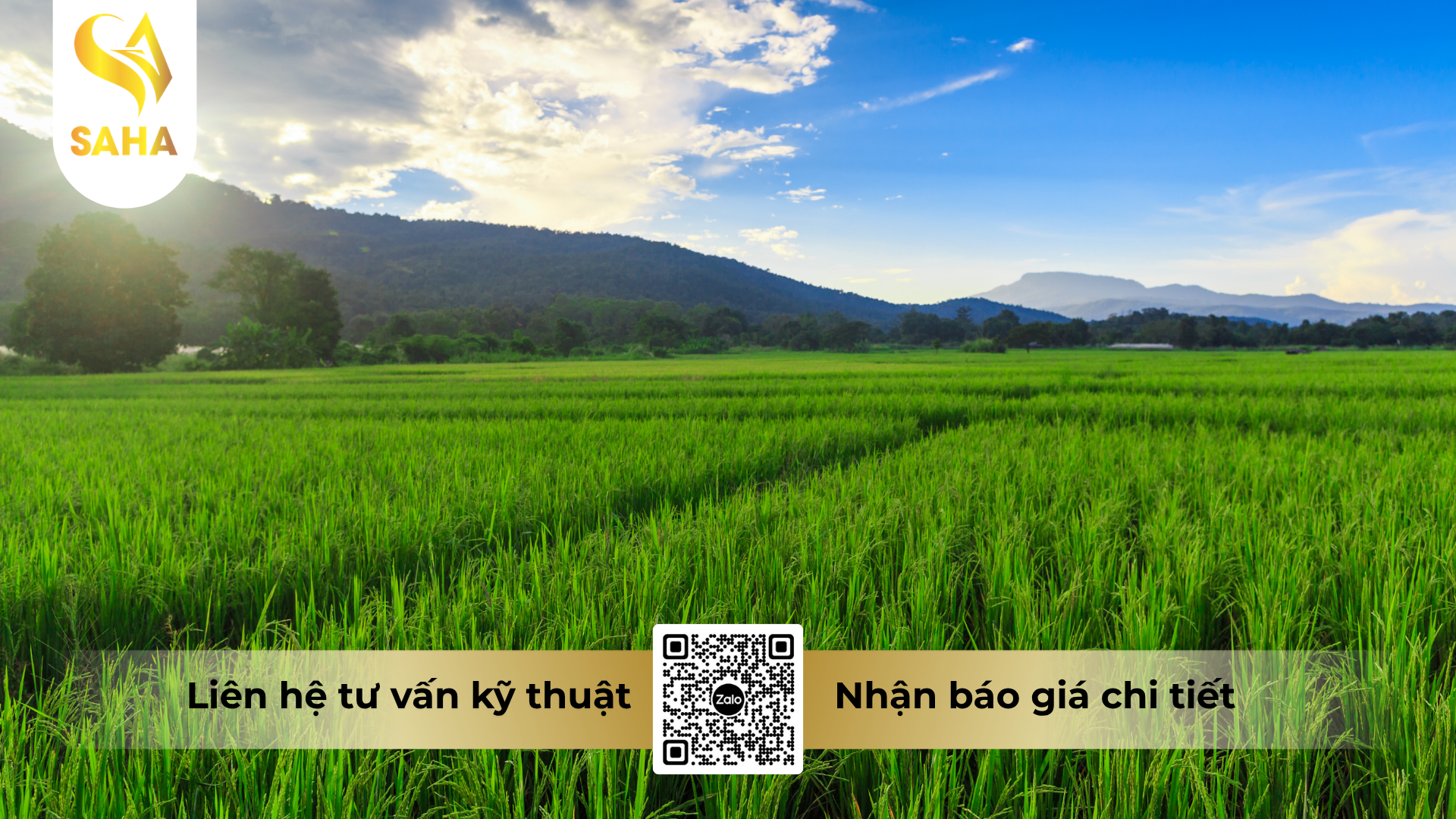 cau-hoi-thuong-gap-ve-thuoc-tru-sau-khongray-54wp-hieu-no-ray-540.png
