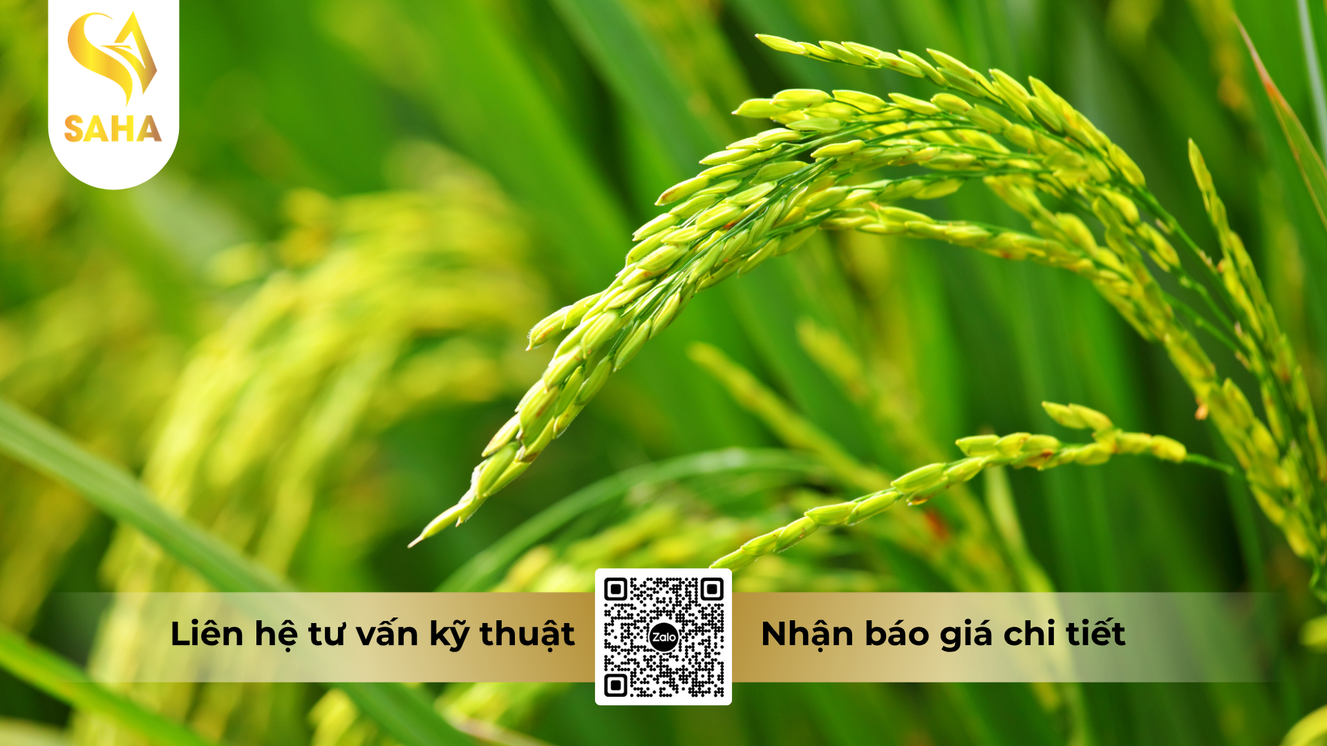 cau-hoi-thuong-gap-ve-thuoc-tru-sau-ledan-95sp-hieu-jadan-gold.png