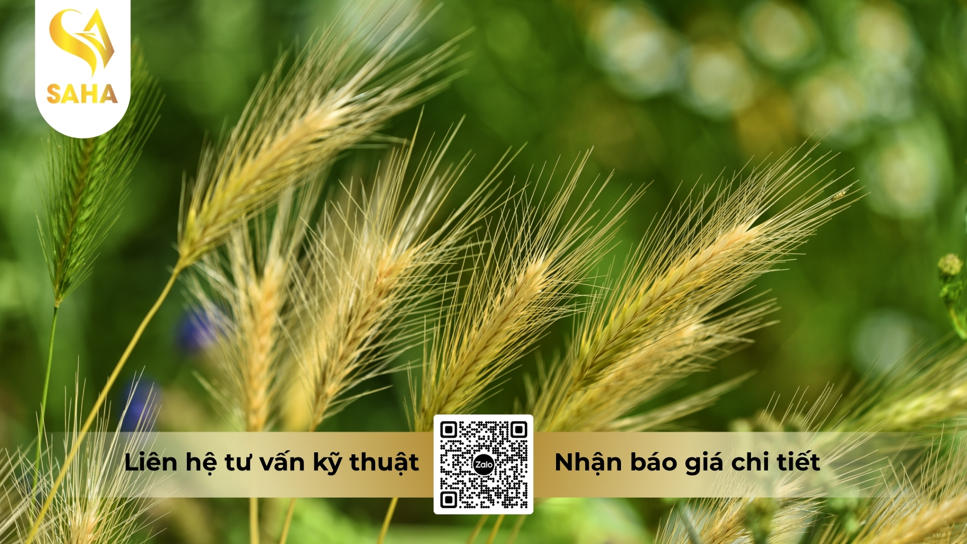 thong-tin-chung-thuoc-tru-co-ad-qkill-13sl.jpg