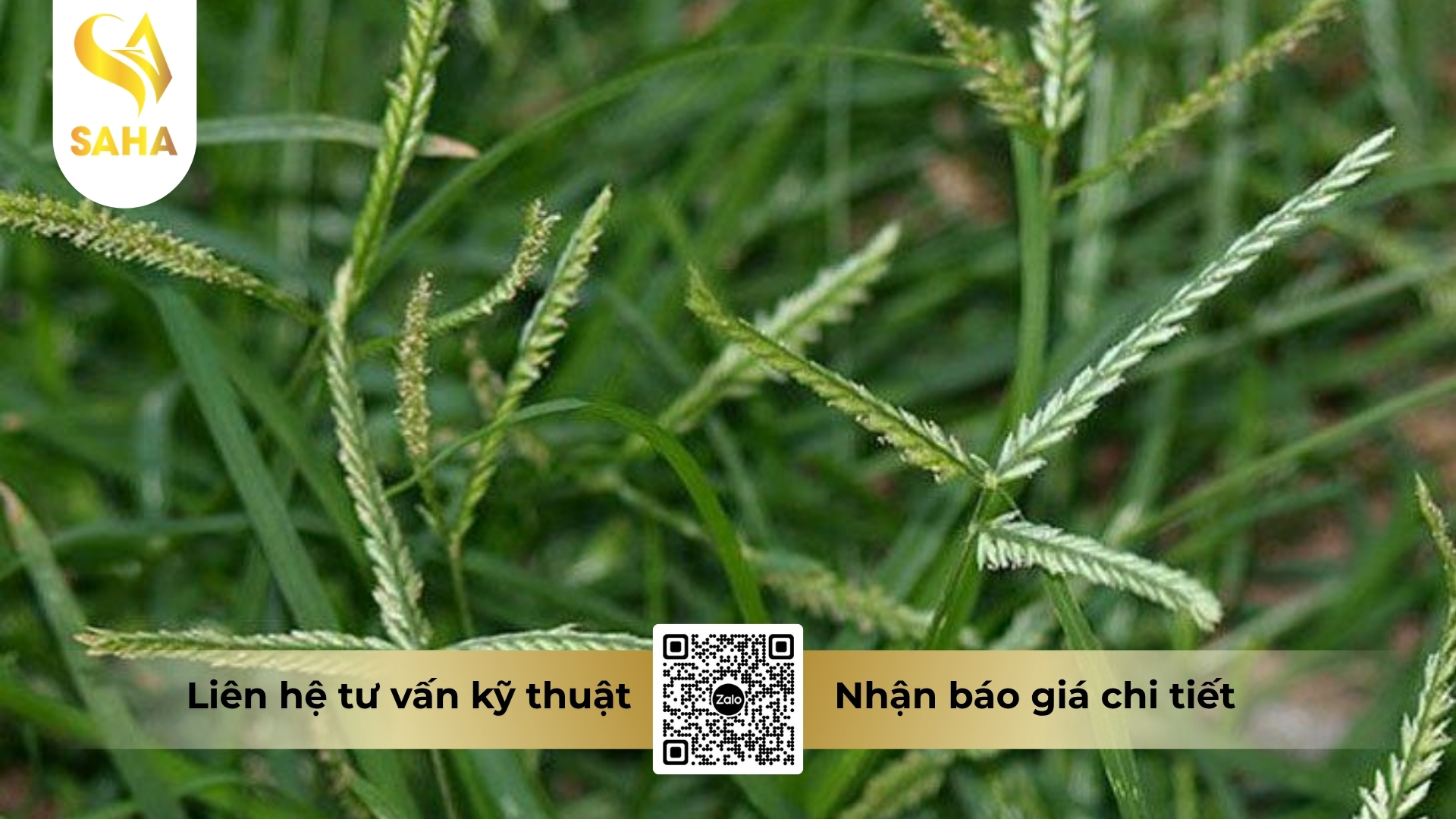cau-hoi-thuong-gap.jpg