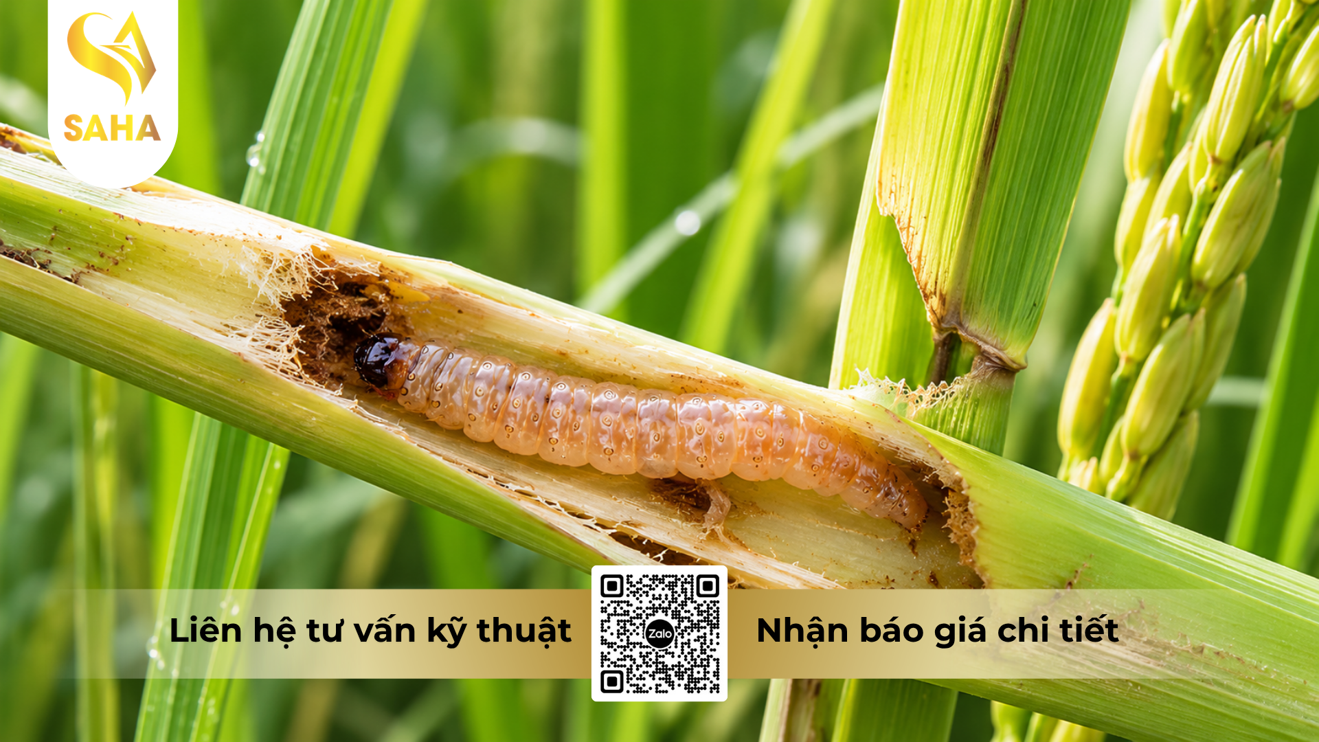 cong-dung-cua-thuoc-tru-sau-ledan-95sp-hieu-jadan-gold-100gr.png