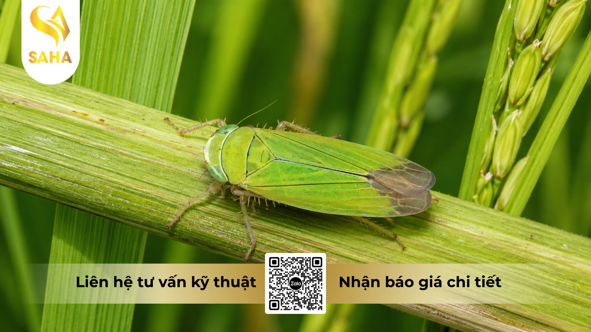 cong-dung-cua-thuoc-tru-sau-cao-cap-ledan-95sp-hieu-lancer-97.png